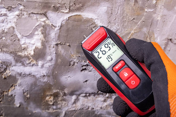 Best Mold Testing and Inspection Services in Ruston, LA